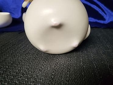 Servis vintaz,nov porcelanski za caj za dvoje. Perfektan rad i na lalafo.rs — 10 Servis vintaz,nov porcelanski za caj za dvoje. Perfektan rad i — 10