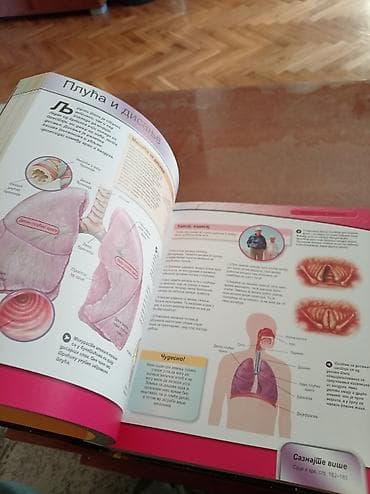 Ilustrovana enciklopedija „СВЕЗНАЊЕ“ - Bogato opremljena, tvrd povez na lalafo.rs — 2 Ilustrovana enciklopedija „СВЕЗНАЊЕ“ - Bogato opremljena, tvrd povez — 2