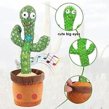 Kaktus koji pleše na lalafo.rs — 4 Kaktus koji pleše — 4