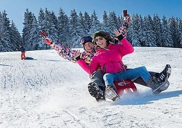 01. ROLLY TOYS SANKE – Nemački kvalitet! ❄️ 7099 din ❄️ Sanke bez na lalafo.rs 01. ROLLY TOYS SANKE – Nemački kvalitet! ❄️ 7099 din ❄️ Sanke bez