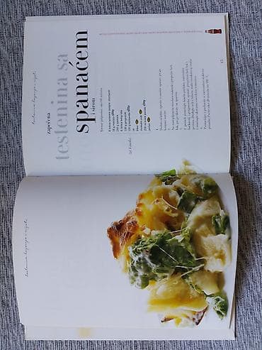 Other: Nova knjiga TESTENINE (paste, lazanje i rižote). Knjiga je štampana at lalafo.rs — 4 Other: Nova knjiga TESTENINE (paste, lazanje i rižote). Knjiga je štampana — 4