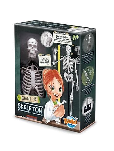 Buki France GIANT Skeleton – edukativni komplet za decu 8+ - na lalafo.rs Buki France GIANT Skeleton – edukativni komplet za decu 8+ -