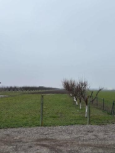 dve suknje po: Plac Ugrinovci centar, 110 ari + voćnjak Uknjižen 1/1 na ime vlasnika na lalafo.rs — 2 dve suknje po: Plac Ugrinovci centar, 110 ari + voćnjak Uknjižen 1/1 na ime vlasnika — 2