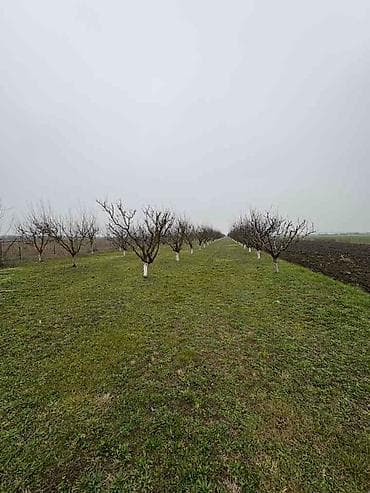 dve suknje po: Plac Ugrinovci centar, 110 ari + voćnjak Uknjižen 1/1 na ime vlasnika na lalafo.rs — 4 dve suknje po: Plac Ugrinovci centar, 110 ari + voćnjak Uknjižen 1/1 na ime vlasnika — 4