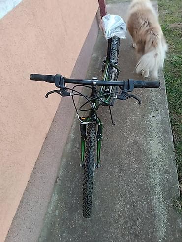 Dečiji bicikl NewLine Panther 24" zelena Decija bicikla NewLine at lalafo.rs — 1 Dečiji bicikl NewLine Panther 24" zelena Decija bicikla NewLine — 1