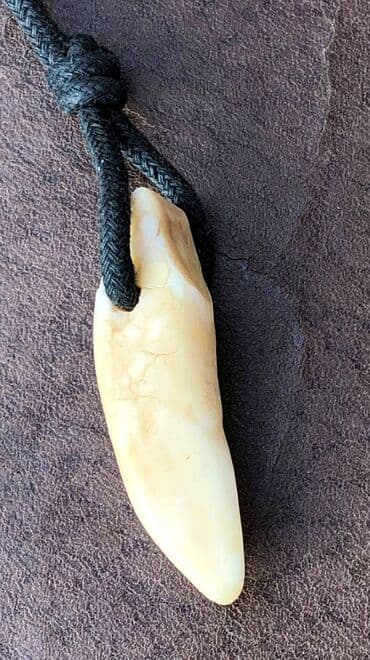 Ogrlica sa ZUBom AJKULE – Makao / Tigrasta Ajkula, Tribal Stil na lalafo.rs Ogrlica sa ZUBom AJKULE – Makao / Tigrasta Ajkula, Tribal Stil