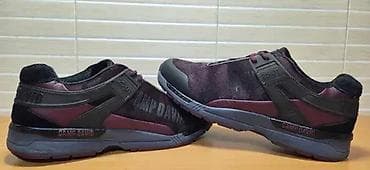 za svaki dan: Camp David (br.44) patike su u odličnom stanju kao što se vidi i na at lalafo.rs — 3 za svaki dan: Camp David (br.44) patike su u odličnom stanju kao što se vidi i na — 3