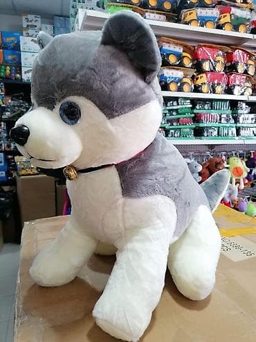 Velike kuce
60cm at lalafo.rs — 5 Velike kuce
60cm — 5