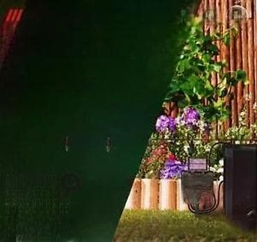 Other garden items: Solarni komplet za automatsko navodnjavanje biljaka – 57 delova - at lalafo.rs — 7 Other garden items: Solarni komplet za automatsko navodnjavanje biljaka – 57 delova - — 7