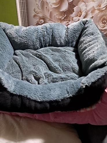 dve suknje po: Set za kućne ljubimce – posude i ležajevi - Spora posuda za hranjenje na lalafo.rs — 2 dve suknje po: Set za kućne ljubimce – posude i ležajevi - Spora posuda za hranjenje — 2