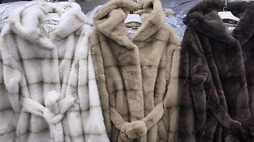 Ženska kapuljača bundica – kratki model sa pojasom - Model: kratka na lalafo.rs — 1 Ženska kapuljača bundica – kratki model sa pojasom - Model: kratka — 1